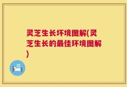 灵芝生长坏境图解(灵芝生长的最佳环境图解)
