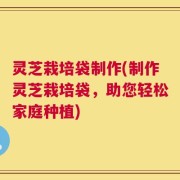 灵芝栽培袋制作(制作灵芝栽培袋，助您轻松家庭种植)