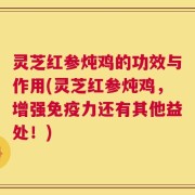 灵芝红参炖鸡的功效与作用(灵芝红参炖鸡，增强免疫力还有其他益处！)