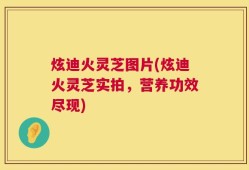 炫迪火灵芝图片(炫迪火灵芝实拍，营养功效尽现)