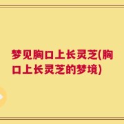 梦见胸口上长灵芝(胸口上长灵芝的梦境)