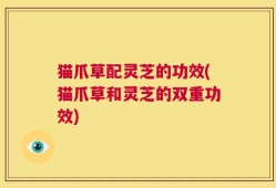 猫爪草配灵芝的功效(猫爪草和灵芝的双重功效)
