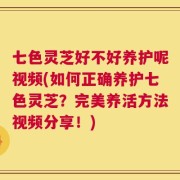 七色灵芝好不好养护呢视频(如何正确养护七色灵芝？完美养活方法视频分享！)