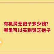 有机灵芝孢子多少钱？哪里可以买到灵芝孢子