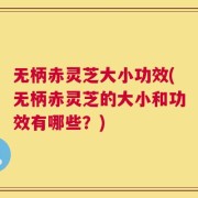 无柄赤灵芝大小功效(无柄赤灵芝的大小和功效有哪些？)