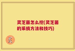 灵芝菌怎么挖(灵芝菌的采摘方法和技巧)