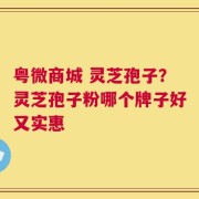 粤微商城 灵芝孢子？灵芝孢子粉哪个牌子好又实惠