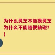 为什么灵芝不能摸灵芝为什么不能随便触碰？)