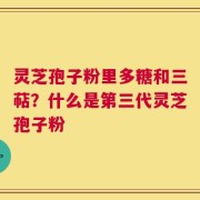 灵芝孢子粉里多糖和三萜？什么是第三代灵芝孢子粉