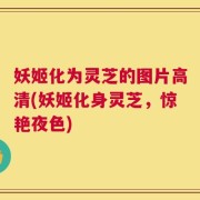 妖姬化为灵芝的图片高清(妖姬化身灵芝，惊艳夜色)