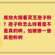 用放大镜看灵芝孢子粉？孢子粉怎么样看是不是真的啊，怕被掺一些其他粉啊