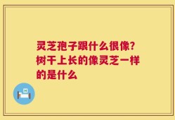 灵芝孢子跟什么很像？树干上长的像灵芝一样的是什么