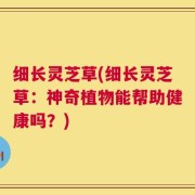 细长灵芝草(细长灵芝草：神奇植物能帮助健康吗？)