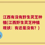 江西有没有野生灵芝种植(江西野生灵芝种植现状：有还是没有？)