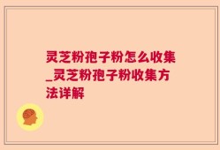 灵芝粉孢子粉怎么收集_灵芝粉孢子粉收集方法详解
