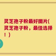 灵芝孢子粉最好图片(灵芝孢子粉，最佳选择！)