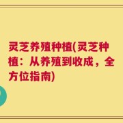 灵芝养殖种植(灵芝种植：从养殖到收成，全方位指南)