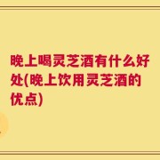 晚上喝灵芝酒有什么好处(晚上饮用灵芝酒的优点)