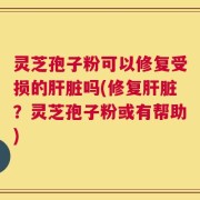 灵芝孢子粉可以修复受损的肝脏吗(修复肝脏？灵芝孢子粉或有帮助)