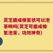 灵芝磨成棉絮状可以泡茶喝吗(灵芝可磨成棉絮泡茶，功效神奇)