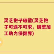 灵芝袍子破壁(灵芝袍子可遇不可求，破壁加工助力保健界)