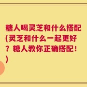 糖人喝灵芝和什么搭配(灵芝和什么一起更好？糖人教你正确搭配！)