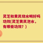灵芝和黄芪烧水喝好吗功效(灵芝黄芪泡水，有哪些功效？)