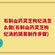 石斛山药灵芝枸杞汤怎么做(石斛山药灵芝枸杞汤的简易制作步骤)