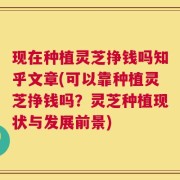 现在种植灵芝挣钱吗知乎文章(可以靠种植灵芝挣钱吗？灵芝种植现状与发展前景)