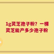 1g灵芝孢子粉？一棵灵芝能产多少孢子粉