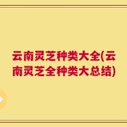 云南灵芝种类大全(云南灵芝全种类大总结)