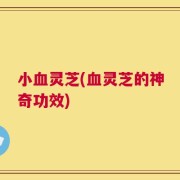 小血灵芝(血灵芝的神奇功效)