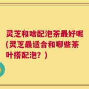 灵芝和啥配泡茶最好呢(灵芝最适合和哪些茶叶搭配泡？)