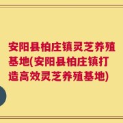 安阳县柏庄镇灵芝养殖基地(安阳县柏庄镇打造高效灵芝养殖基地)