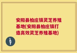 安阳县柏庄镇灵芝养殖基地(安阳县柏庄镇打造高效灵芝养殖基地)