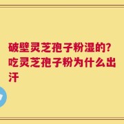 破壁灵芝孢子粉湿的？吃灵芝孢子粉为什么出汗
