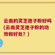 云南的灵芝孢子粉好吗(云南灵芝孢子粉的功效和好处？)