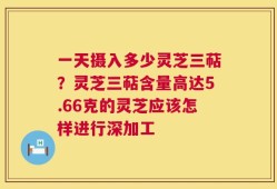 一天摄入多少灵芝三萜？灵芝三萜含量高达5.66克的灵芝应该怎样进行深加工