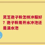 灵芝孢子粉怎样冲服好？孢子粉用开水冲泡还是温水泡