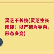 灵芝不长枝(灵芝生长规律：以产孢为导向，形态多变)