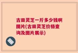 古田灵芝一斤多少钱啊图片(古田灵芝价格查询及图片展示)