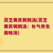 灵芝黄芪鹌鹑汤(灵芝黄芪鹌鹑汤：补气养生美味汤)