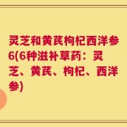 灵芝和黄芪枸杞西洋参6(6种滋补草药：灵芝、黄芪、枸杞、西洋参)