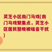 灵芝小区南门马戏(南门马戏聚集点，灵芝小区居民整晚被噪音干扰)