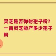 灵芝是否弹射孢子粉？一亩灵芝能产多少孢子粉