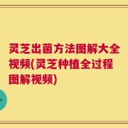 灵芝出菌方法图解大全视频(灵芝种植全过程图解视频)