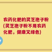 农药化肥的灵芝孢子粉(灵芝孢子粉不用农药化肥，健康又绿色)