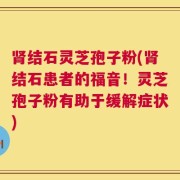 肾结石灵芝孢子粉(肾结石患者的福音！灵芝孢子粉有助于缓解症状)