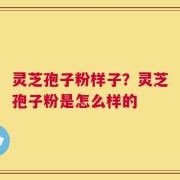 灵芝孢子粉样子？灵芝孢子粉是怎么样的