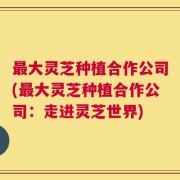最大灵芝种植合作公司(最大灵芝种植合作公司：走进灵芝世界)